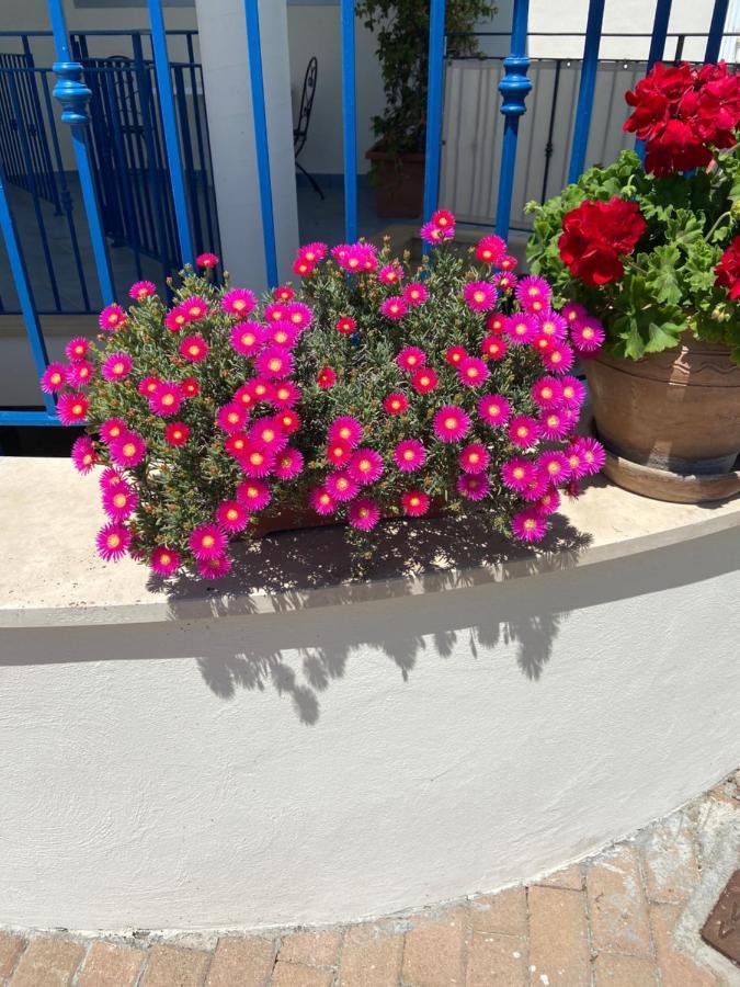 Residenza Le Spiagge Lägenhet Sperlonga Exteriör bild