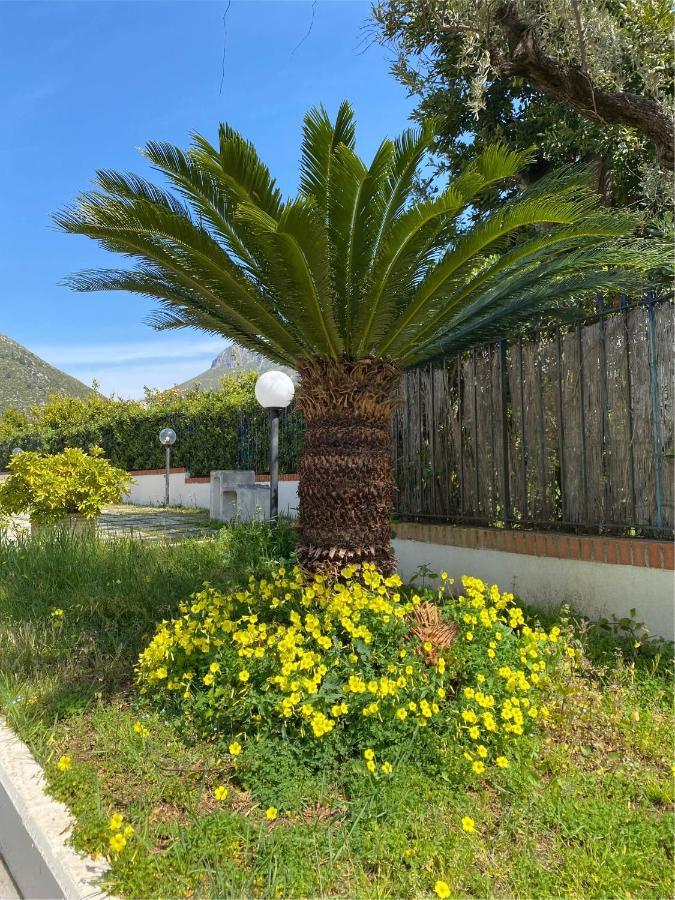 Residenza Le Spiagge Lägenhet Sperlonga Exteriör bild