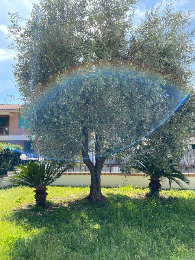 Residenza Le Spiagge Lägenhet Sperlonga Exteriör bild